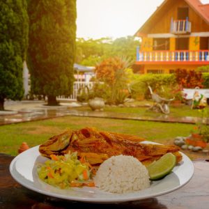 Pasadía x persona con almuerzo